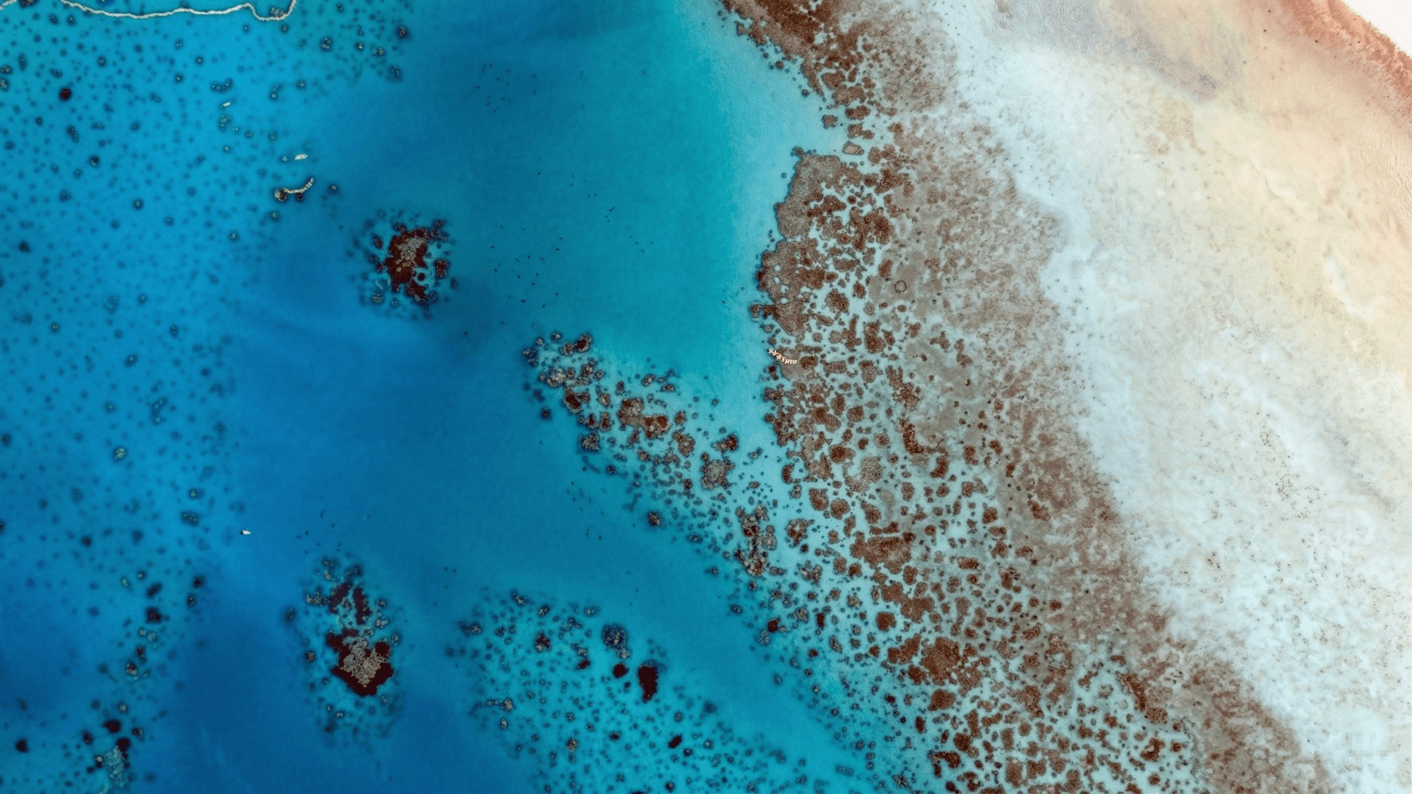Reef habitat aerial view