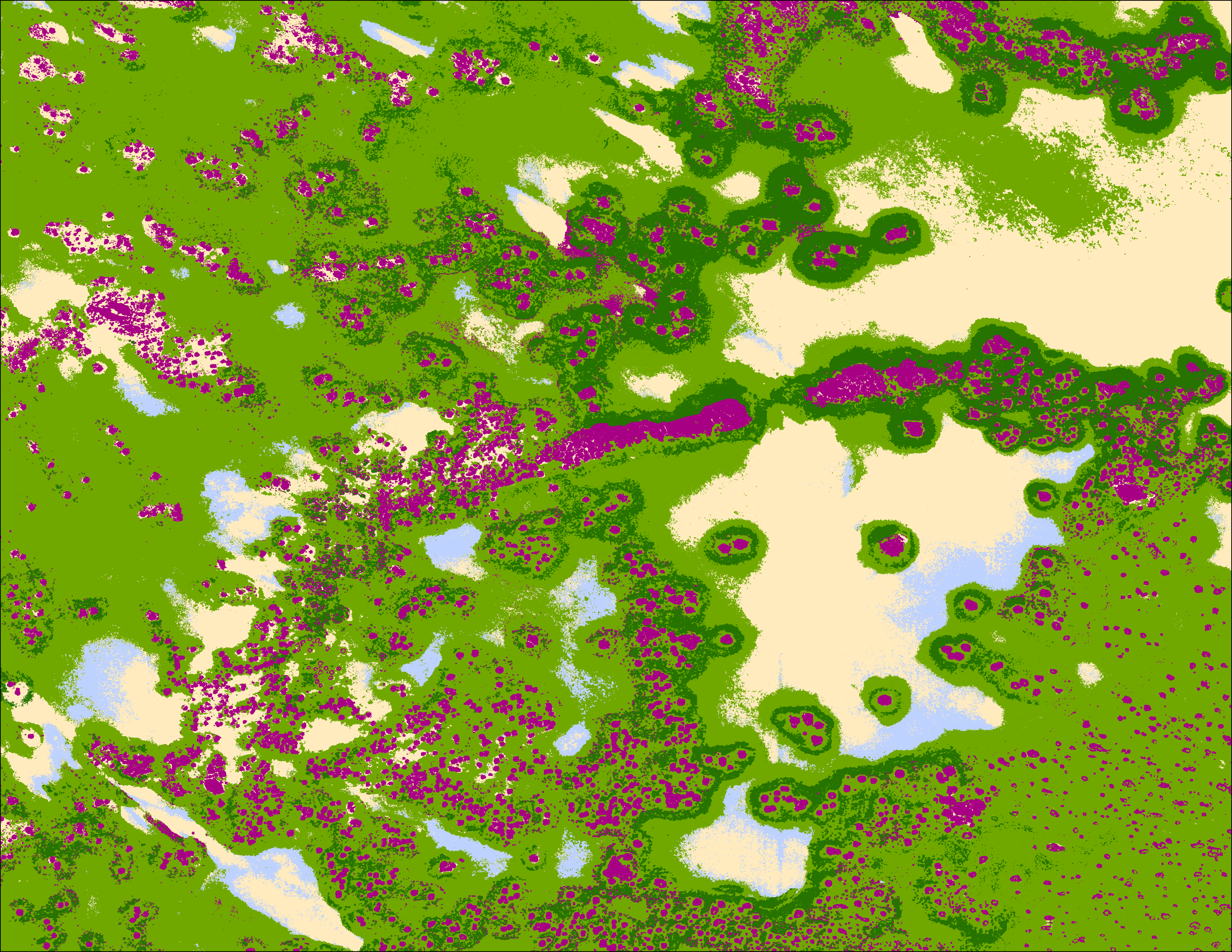 Multi-class seagrass mapping product of South Exuma, Bahamas showing habitat zones in olive green and magenta across a shallow water benthic environment with cream sand and light blue water