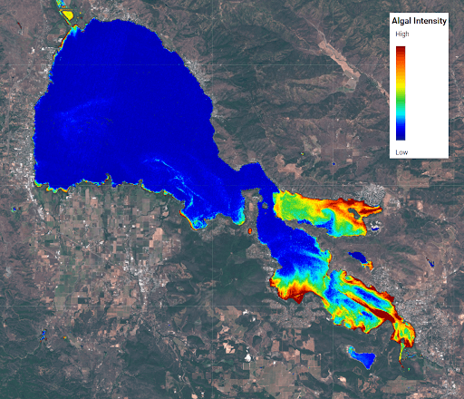 Satellite-derived algal intensity map of an inland lake system showing high algal concentration in red and orange in southern shallow bays against low-concentration deep blue in the main lake body, with legend overlay