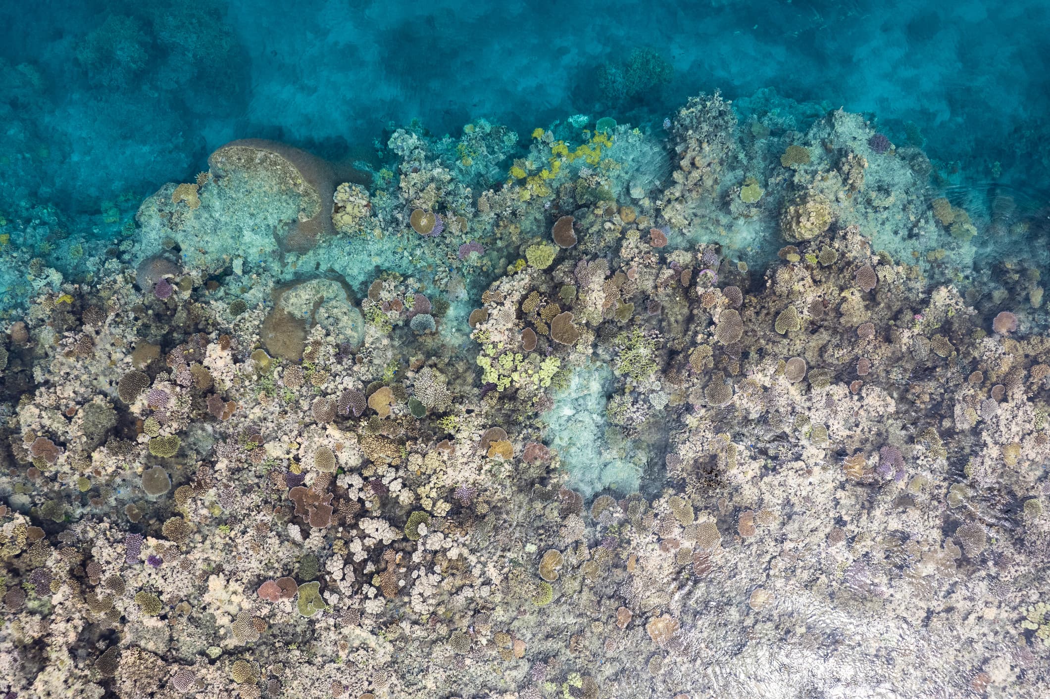 Aerial view of a shallow coral reef with turquoise water for marine resource monitoring