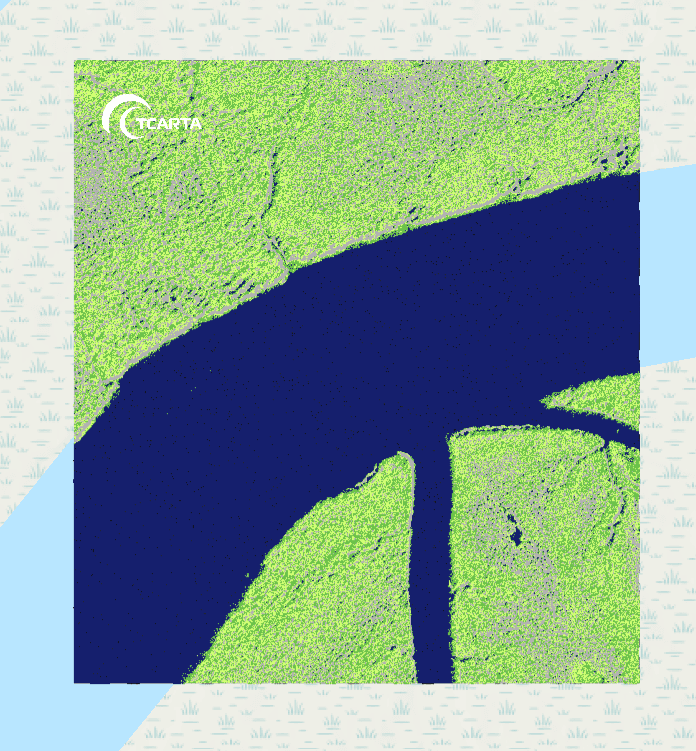 TCarta mangrove mapping product showing classified mangrove extent and density in lime green and gray along a tidal river channel against a dark blue water background
