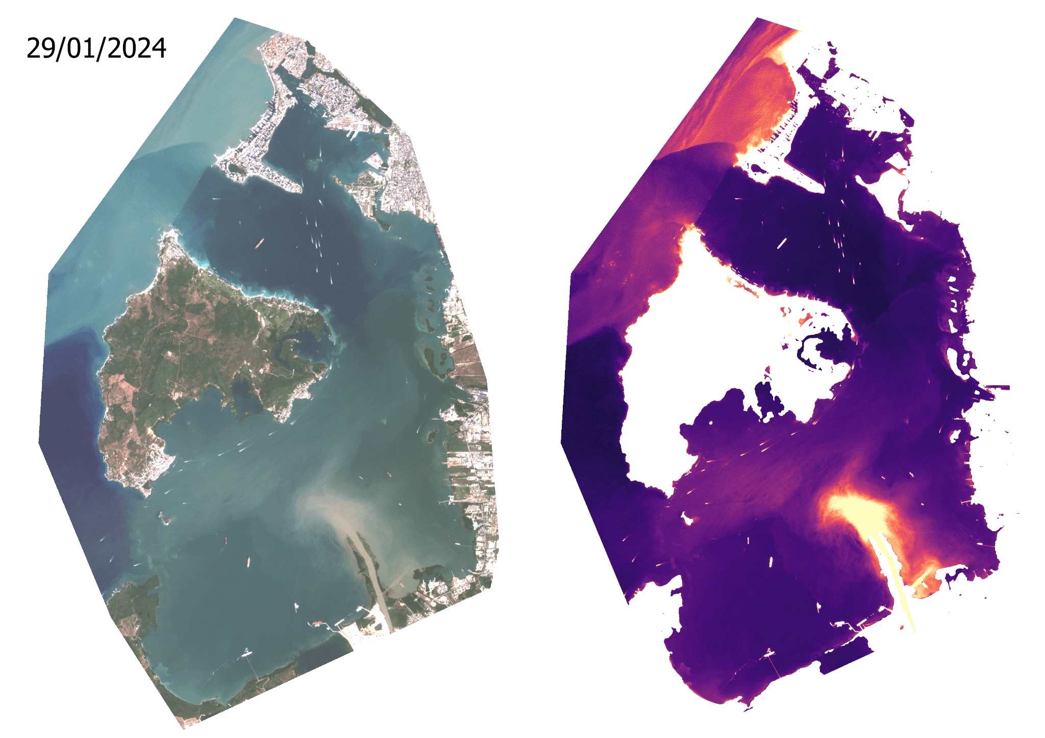 Side-by-side comparison dated January 29, 2024 showing true-color satellite imagery of a coastal island on the left alongside a corresponding purple-to-orange water quality turbidity map on the right